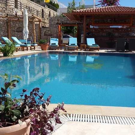 Paradise Villages - Lux Jasmine 1 بيت للعطل